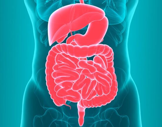 10 Effective Tips to Improve Gut Health