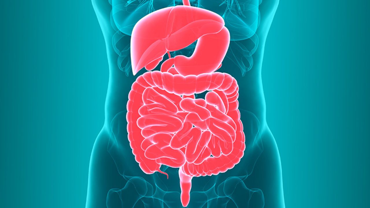 10 Effective Tips to Improve Gut Health