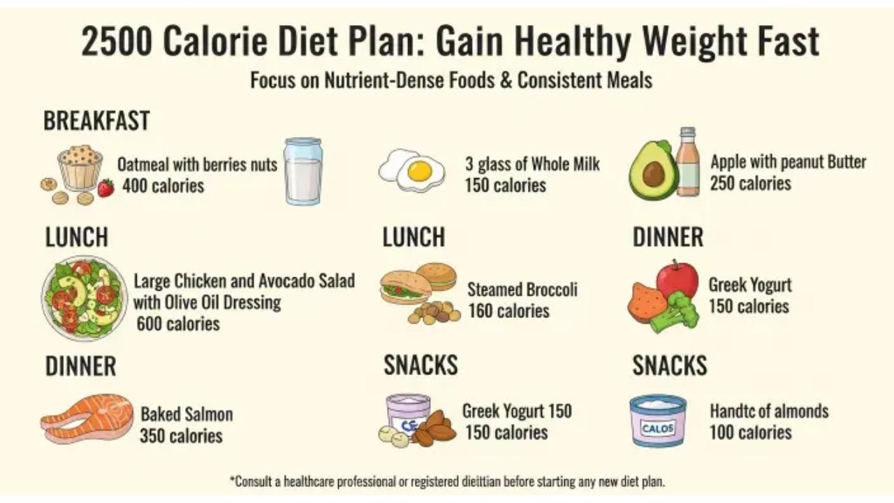 2500 Calories Diet Plan Gain Healthy Weight Fast