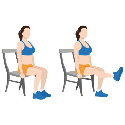 Seated Leg Extensions