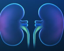 Kidney Detox What Science Really Reveals