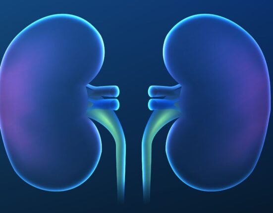 Kidney Detox What Science Really Reveals