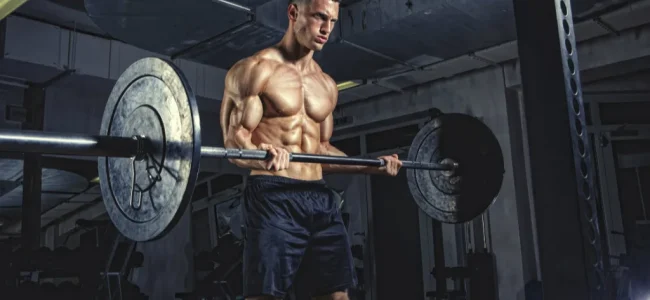 Barbell Biceps Curl Barbell Biceps Curl