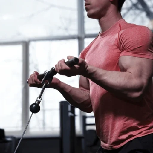 Biceps Pulley Curl Biceps Pulley Curl