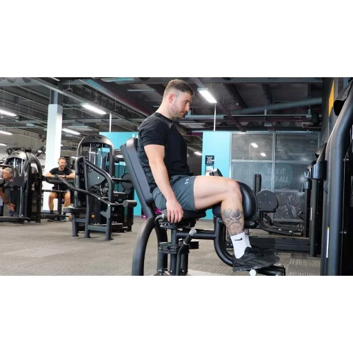 Inner Thigh Adduction (Machine or Cable)