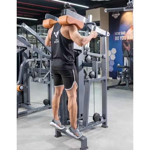 Standing Calf Raises