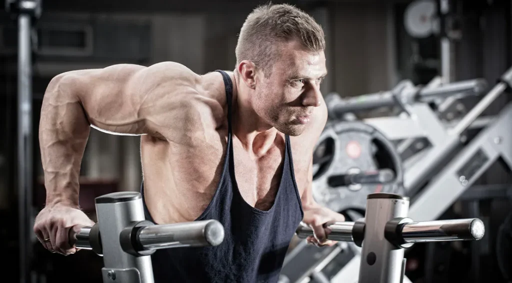 Chest Dips