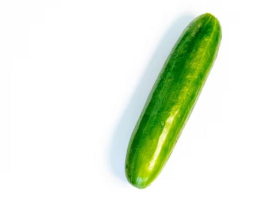 Penis Health